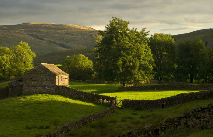 farmland-hills-swaledale