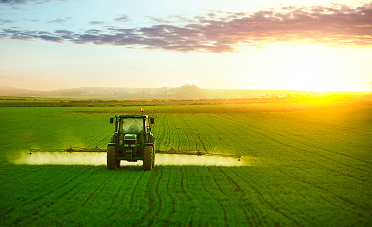 tractor-field-early-morning