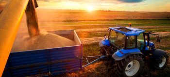 Combine Harvester Sunrise