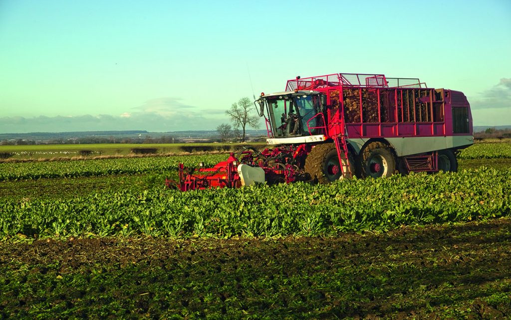 Farm Harvesting Fields