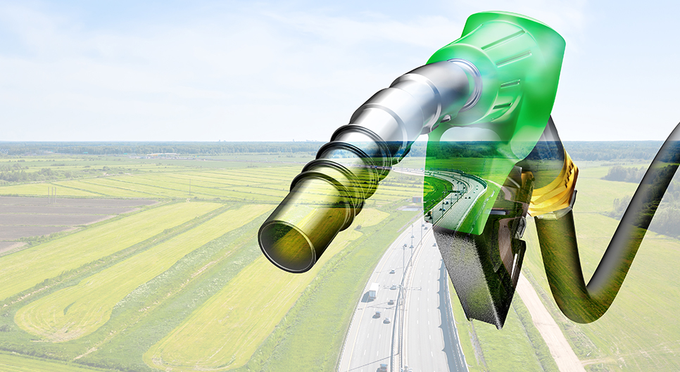 Petrol Pump Green Fields Image